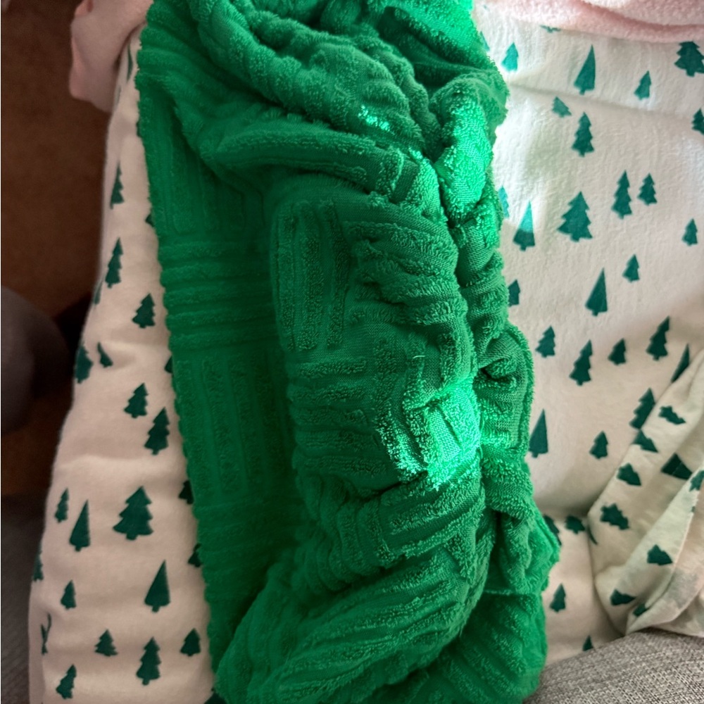 Green Clutch Wristlet